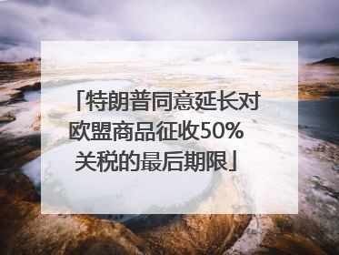 特朗普同意延长对欧盟商品征收50%关税的最后期限