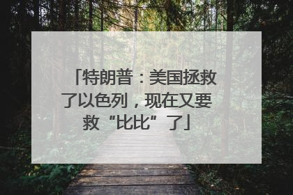 特朗普：美国拯救了以色列，现在又要救“比比”了