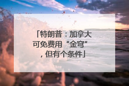特朗普：加拿大可免费用“金穹”，但有个条件