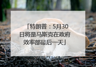 特朗普：5月30日将是马斯克在政府效率部最后一天