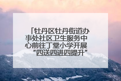 牡丹区牡丹街道办事处社区卫生服务中心前往丁堂小学开展“四送四进四提升”及无烟日宣传活动
