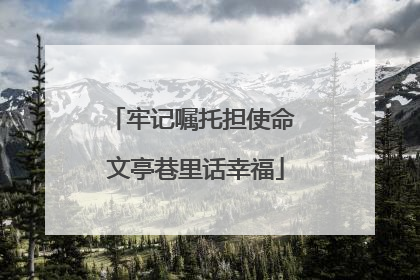 牢记嘱托担使命 文亭巷里话幸福
