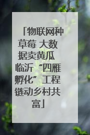 物联网种草莓 大数据卖黄瓜 临沂“四雁孵化”工程链动乡村共富