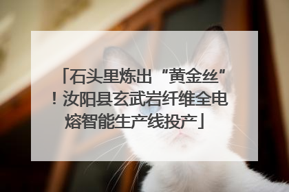 石头里炼出“黄金丝”！汝阳县玄武岩纤维全电熔智能生产线投产