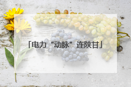 电力“动脉”连陕甘