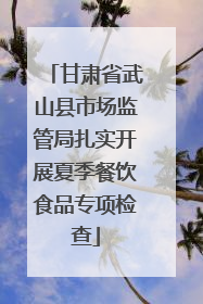 甘肃省武山县市场监管局扎实开展夏季餐饮食品专项检查