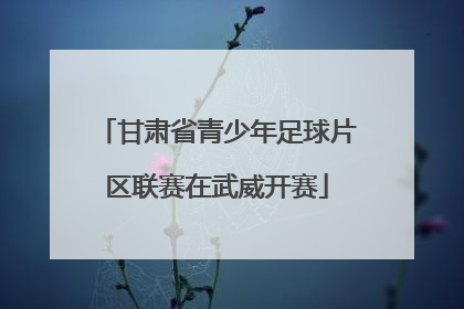 甘肃省青少年足球片区联赛在武威开赛