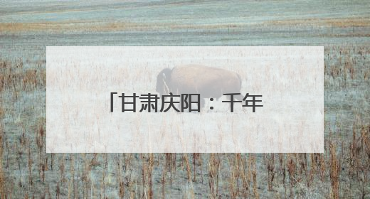 甘肃庆阳：千年香包“绣”出文旅融合新丝路