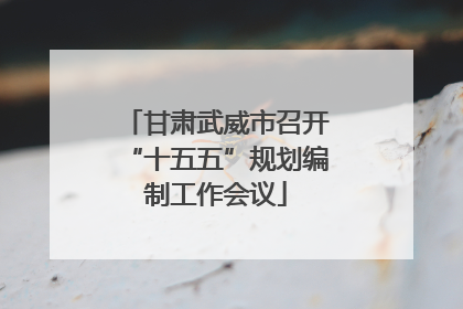 甘肃武威市召开“十五五”规划编制工作会议