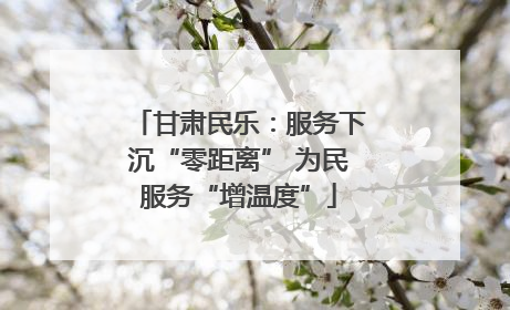 甘肃民乐：服务下沉“零距离” 为民服务“增温度”