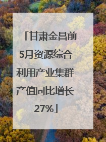 甘肃金昌前5月资源综合利用产业集群产值同比增长27%