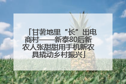 甘薯地里“长”出电商村——新泰80后新农人张甜甜用手机新农具撬动乡村振兴