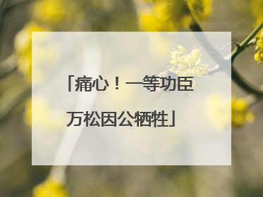 痛心！一等功臣万松因公牺牲