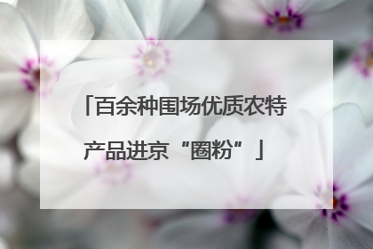 百余种围场优质农特产品进京“圈粉”