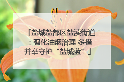 盐城盐都区盐渎街道：强化油烟治理 多措并举守护“盐城蓝”