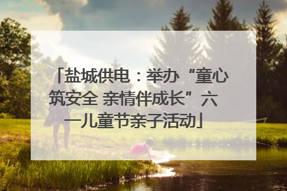 盐城供电：举办“童心筑安全 亲情伴成长”六一儿童节亲子活动