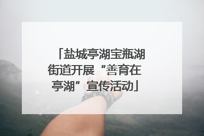 盐城亭湖宝瓶湖街道开展“善育在亭湖”宣传活动