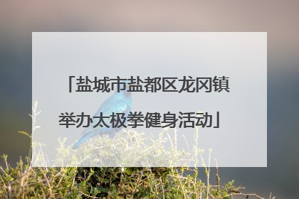 盐城市盐都区龙冈镇举办太极拳健身活动