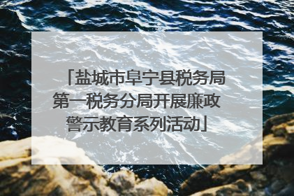 盐城市阜宁县税务局第一税务分局开展廉政警示教育系列活动