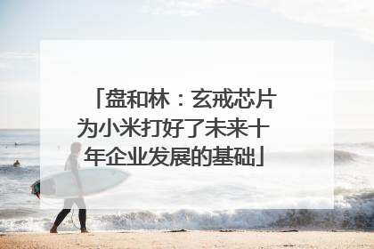 盘和林：玄戒芯片为小米打好了未来十年企业发展的基础