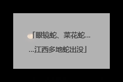眼镜蛇、菜花蛇……江西多地蛇出没