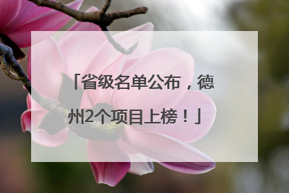 省级名单公布，德州2个项目上榜！