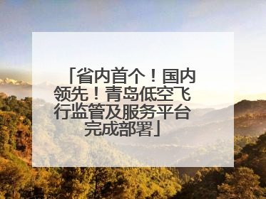 省内首个！国内领先！青岛低空飞行监管及服务平台完成部署