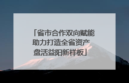 省市合作双向赋能 助力打造全省资产盘活益阳新样板