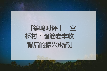 筝鸣时评丨一空桥村：强筋麦丰收背后的振兴密码