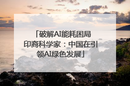 破解AI能耗困局 印裔科学家：中国在引领AI绿色发展