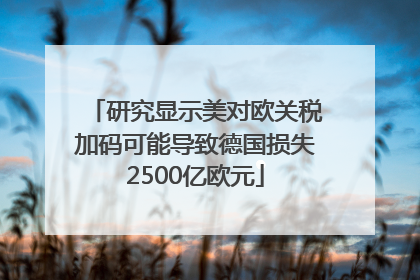 研究显示美对欧关税加码可能导致德国损失2500亿欧元