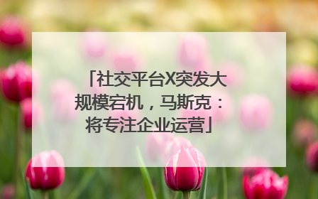 社交平台X突发大规模宕机，马斯克：将专注企业运营