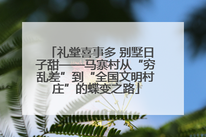 礼堂喜事多 别墅日子甜——马寨村从“穷乱差”到“全国文明村庄”的蝶变之路