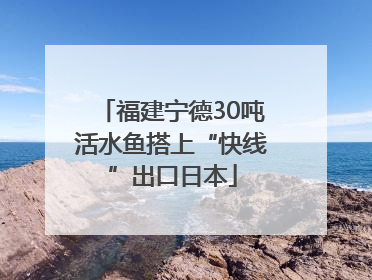 福建宁德30吨活水鱼搭上“快线”出口日本