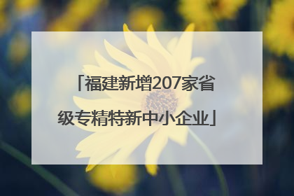 福建新增207家省级专精特新中小企业