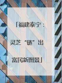 福建泰宁：灵芝“链”出富民新图景