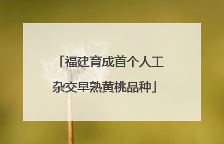 福建育成首个人工杂交早熟黄桃品种