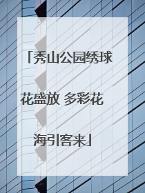 秀山公园绣球花盛放 多彩花海引客来