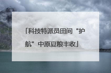 科技特派员田间“护航”中原夏粮丰收