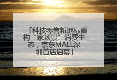 科技零售新地标重构“家场景”消费生态，京东MALL深圳首店启幕