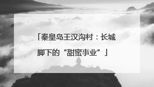 秦皇岛王汉沟村：长城脚下的“甜蜜事业”