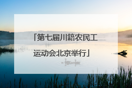 第七届川籍农民工运动会北京举行