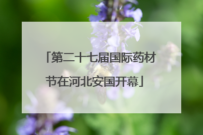 第二十七届国际药材节在河北安国开幕
