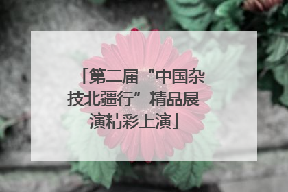 第二届“中国杂技北疆行”精品展演精彩上演
