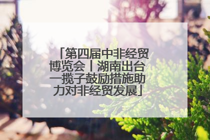 第四届中非经贸博览会丨湖南出台一揽子鼓励措施助力对非经贸发展