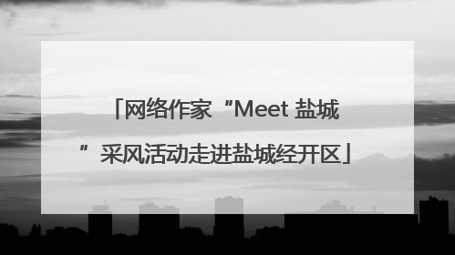 网络作家“Meet 盐城”采风活动走进盐城经开区