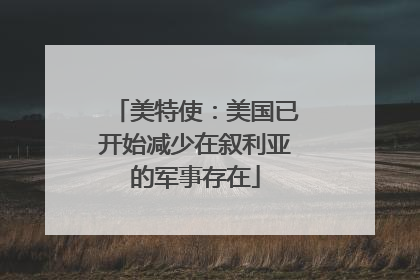 美特使：美国已开始减少在叙利亚的军事存在