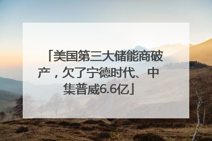 美国第三大储能商破产，欠了宁德时代、中集普威6.6亿