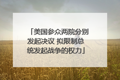 美国参众两院分别发起决议 拟限制总统发起战争的权力