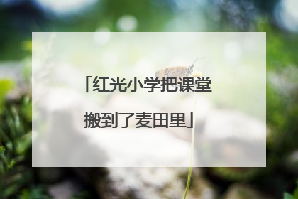 红光小学把课堂搬到了麦田里